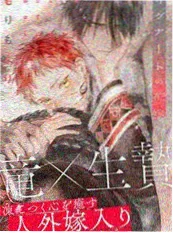 凤舞九天